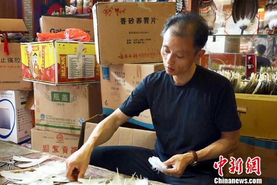     三河羽扇非遺技藝傳承人丁政權在制作羽扇,。　鐘欣　攝