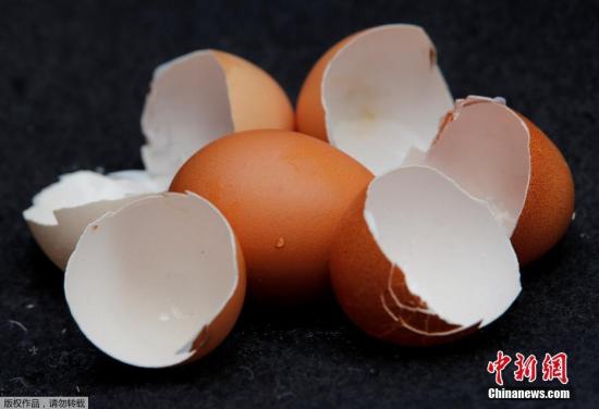 比利時檢察部門指,，當(dāng)?shù)馗ヌm德斯兩家專門生產(chǎn)殺虱劑的廠商懷疑與事件有關(guān),，可能有不法商人將原本合法用于飼養(yǎng)雞只的殺蟲藥，混合非法有害物質(zhì),，以加強(qiáng)藥力,。（資料圖）