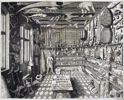 Herman Middendorp, 《Ole Worm的藝術房》,，Musei Wormiani Historia, 1655年