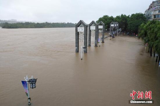受新一輪連續(xù)強(qiáng)降雨影響,，8月15日2時10分,，漓江桂林水文站出現(xiàn)147.51米洪峰水位，超警戒水位1.51米,，為今年最大洪水,。當(dāng)天漓江旅游船舶、排筏全線封航,。 趙琳露 攝