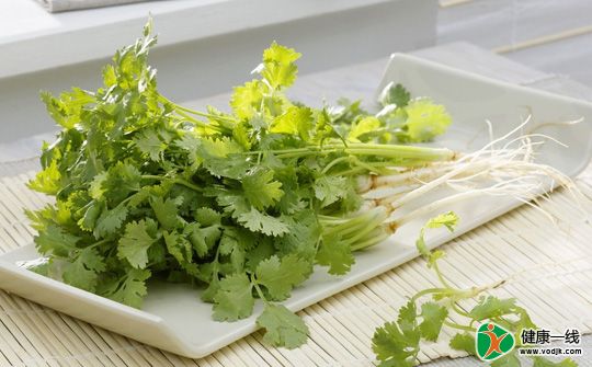 愛感冒的人最好別吃香菜,！