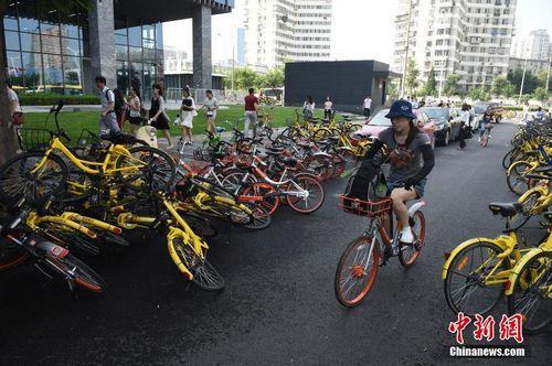 8月3日,，北京街頭的共享單車(chē)。<a target='_blank' href='http://www.chinanews.com/'>中新社</a>記者 侯宇 攝