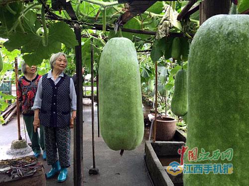 點擊進(jìn)入下一頁