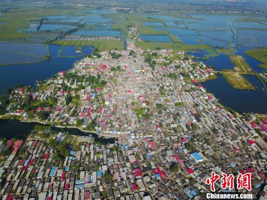 圖為“華北明珠”白洋淀航拍圖片,。　張帆 攝