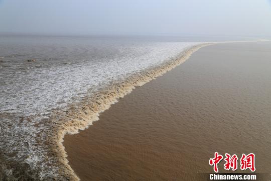 “一線橫江”的錢(qián)江潮,?！⊥踹h(yuǎn) 攝