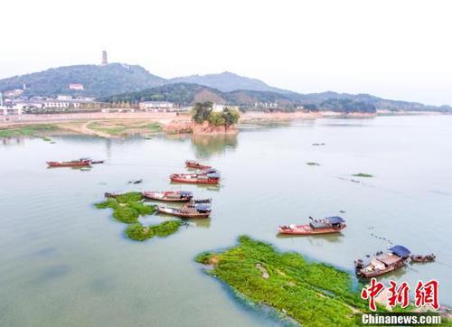 鄱陽湖5日起現(xiàn)今年首次長江水倒灌 利于漁業(yè)恢復(fù)