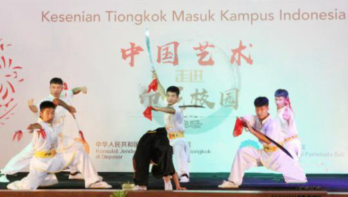 武術(shù)表演。
