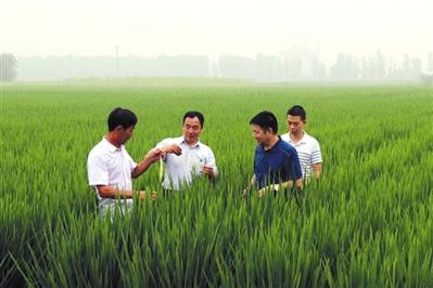 點(diǎn)擊進(jìn)入下一頁(yè)