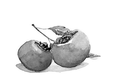 螃蟹+柿子=腹瀉,？科學(xué)解讀食物相克