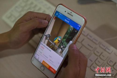資料圖：淘寶店主使用手機瀏覽自己的淘寶店鋪,。<a target='_blank' href='http://www.chinanews.com/'>中新社</a>記者 劉關(guān)關(guān) 攝
