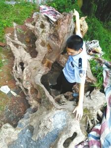 點(diǎn)擊進(jìn)入下一頁