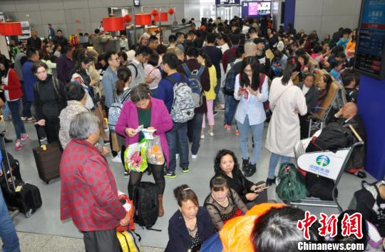 圖為旅客排隊(duì)值機(jī),。　楊珺 攝