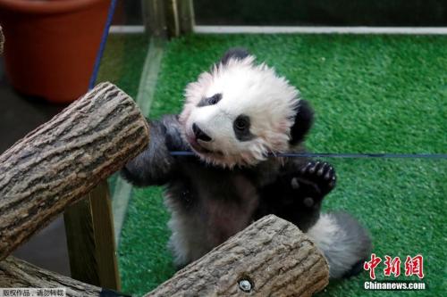 點(diǎn)擊進(jìn)入下一頁