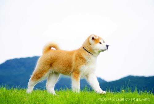 來源：該市官網(wǎng),。