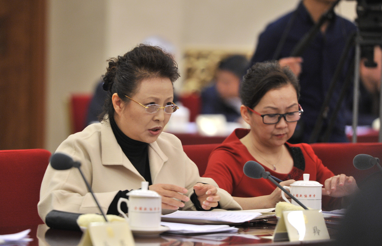 李羚委員在會(huì)上發(fā)言