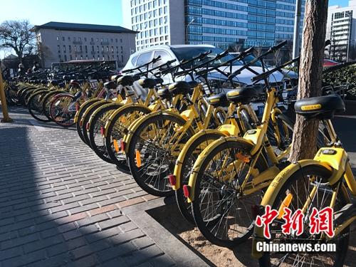 資料圖：成排的共享單車在路邊停放,。<a target='_blank' href='http://www.chinanews.com/' >中新網</a> 吳濤 攝