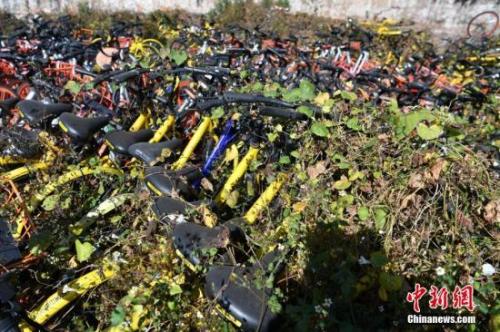 資料圖：數百輛共享單車被荒草“掩埋”,。<a target='_blank' href='http://www.chinanews.com/'>中新社</a>記者 任東 攝