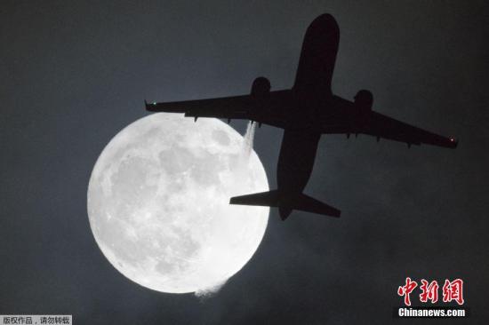 當(dāng)?shù)貢r(shí)間1月1日,，倫敦希斯羅機(jī)場上空一架飛機(jī)從“超級月亮”下經(jīng)過。