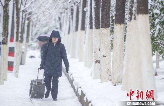 暴雪中的行人,。　張婭子 攝
