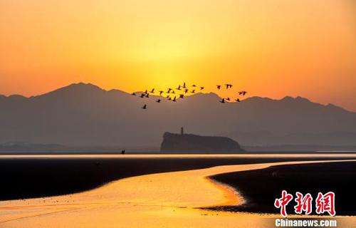 遠(yuǎn)處的廬山,、湖中的鞋山與時(shí)而飛過的候鳥，在夕陽余暉的映照下呈現(xiàn)出一幅美麗的冬日畫卷,?！「到ū?攝