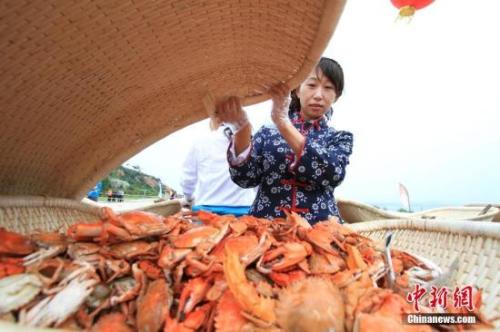 資料圖：螃蟹等海鮮走入尋常百姓家,。<a target='_blank' href='http://www.chinanews.com/'>中新社</a>記者 楊兵 攝