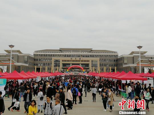 圖為招聘會(huì),。　王艷龍 攝