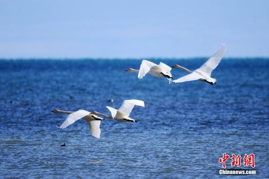 點擊進(jìn)入下一頁