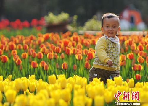 3月22日，小朋友在江西九江市濂溪區(qū)的九江新湖郁金香花博會(huì)現(xiàn)場(chǎng)玩耍,?！『鷩?guó)林　攝
