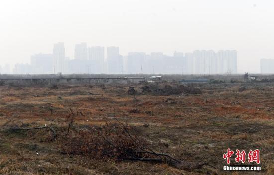 資料圖：土地已平整的區(qū)塊,。<a target='_blank' href='http://www.chinanews.com/'>中新社</a>記者 王剛 攝