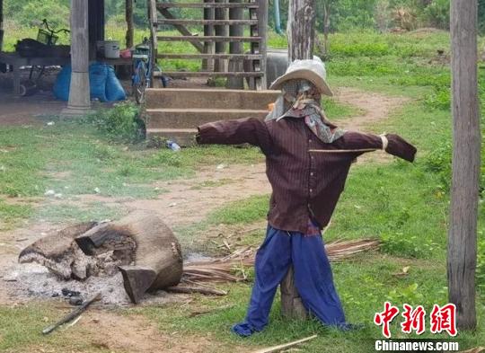 圖為事發(fā)村莊,。當(dāng)?shù)亍都碇袝r(shí)報(bào)》提供