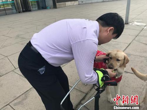 導盲犬的主人給其喂食物,?！铎o 攝