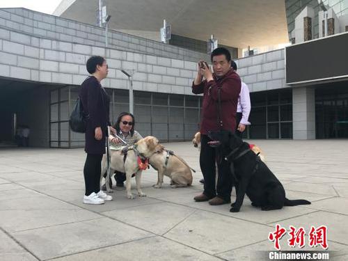 盲人與導盲犬在公共場所休息?！铎o 攝