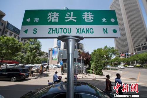 “豬頭巷”路牌格外醒目?！∥淇〗?攝