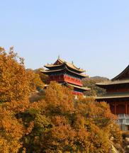 會(huì)上委員和專家們的發(fā)言,“知實(shí)情,接地氣”