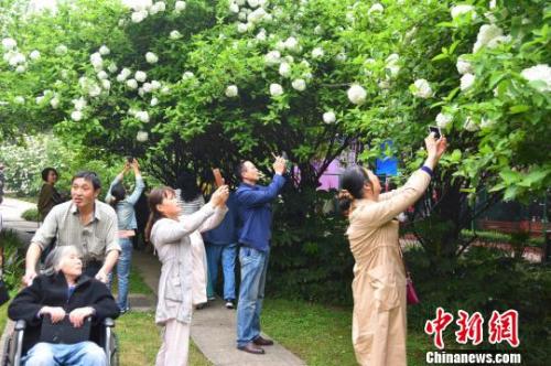 點擊進(jìn)入下一頁