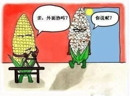中暑為什么會死人,？對中暑決不能掉以輕心,！