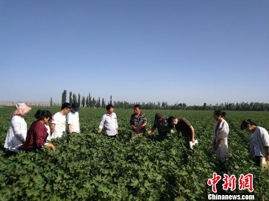 新疆兵團投1111萬元支持貧困團場科技工作