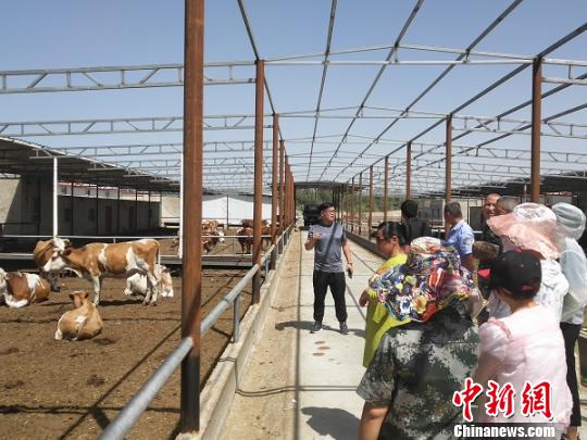 培訓班組織學員實地參觀開拓眼界,。(資料圖) 王剛 攝