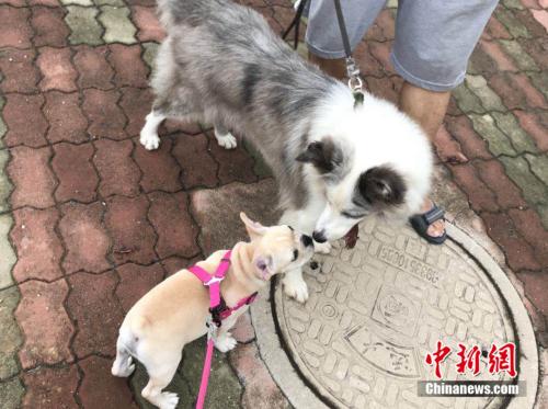 點(diǎn)擊進(jìn)入下一頁(yè)