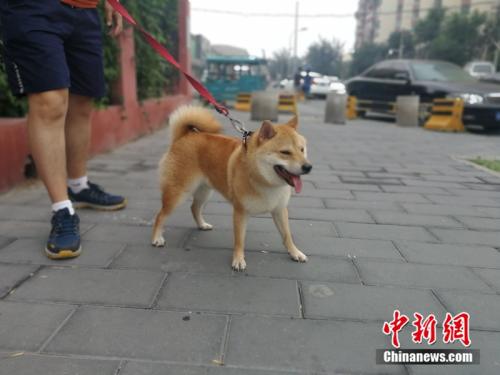 點(diǎn)擊進(jìn)入下一頁(yè)