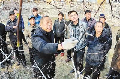 李保國在河北省內(nèi)丘縣崗底村向村民講解果樹修剪知識,。新華社記者 朱旭東 攝