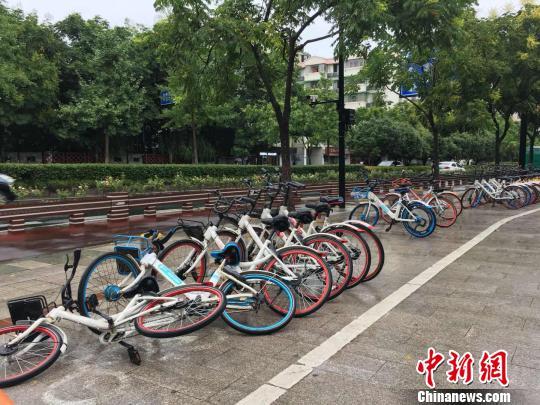 圖為：被臺(tái)風(fēng)吹倒的共享單車,。　錢晨菲 攝