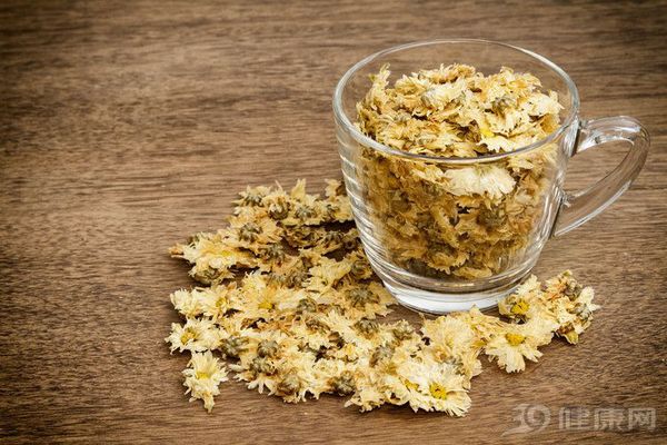 一杯菊花茶 堪比百味藥,！