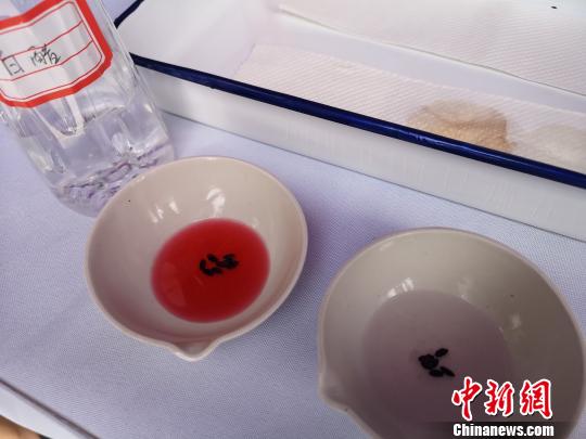 圖為兩江新區(qū)2018年“全國(guó)質(zhì)量月”活動(dòng)現(xiàn)場(chǎng),，工作人員教民眾用白醋檢測(cè)黑米真假。左邊液體顏色變紅的是真黑米,，右邊沒什么變化的是假黑米,。　劉賢 攝