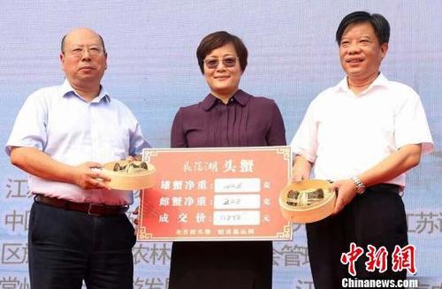 捕撈出的頭蟹（雄蟹446克，雌蟹248克）被拍出了12888元的價(jià)格,?！￡愋隆z