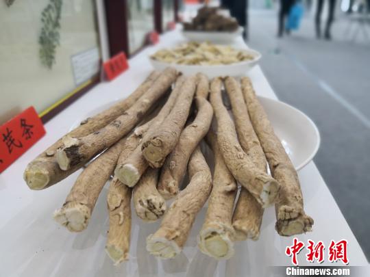 圖為在中國(guó)(甘肅)中醫(yī)藥產(chǎn)業(yè)博覽會(huì)上亮相的中藥材,。　李亞龍 攝