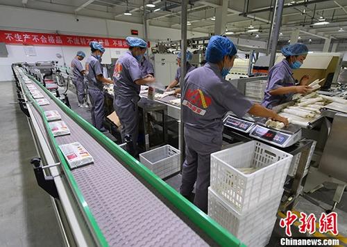 資料圖,。 <a target='_blank' href='http://www.chinanews.com/'>中新社</a>記者 劉新 攝