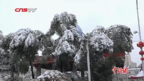 點擊進(jìn)入下一頁