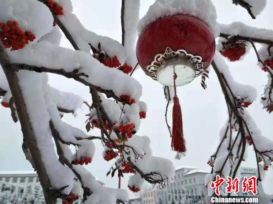 圖為街邊雪景?！垨|艷 攝