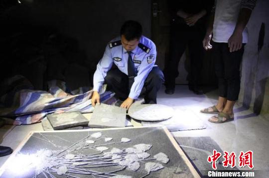 被盜挖的古生物化石,。